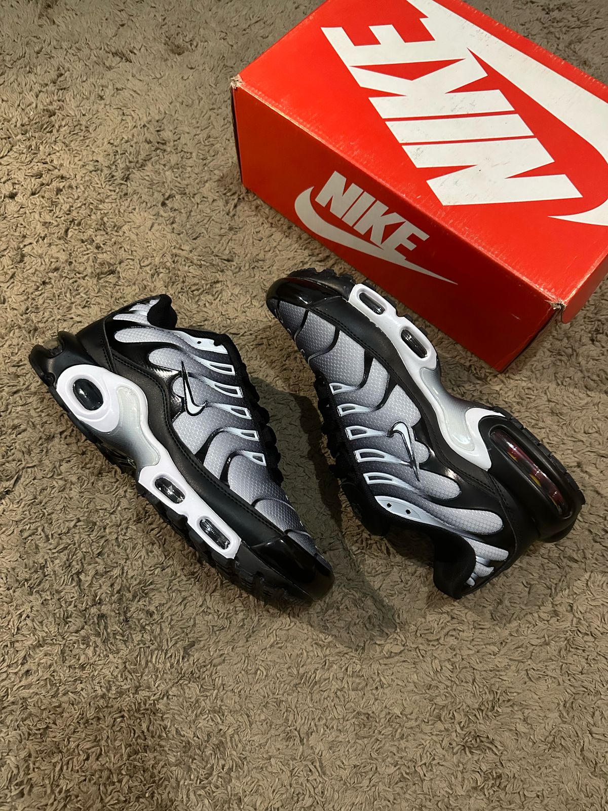 TN1 Black Metallic Importado